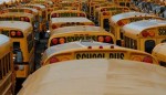 school-buses-300x172