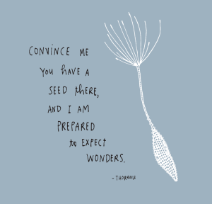 THOREAU-EXPECT-WONDERS